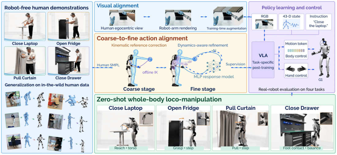 EgoHumanoid-V2: Human-to-Humanoid Transfer of Coordinated Whole-Body Skills for Loco-Manipulation